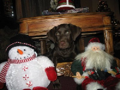 Hailey sittng between snowman and Santa