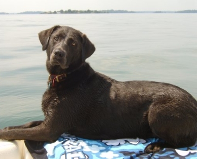 River on the boat