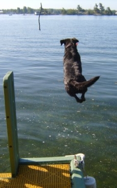 River Jumping into water